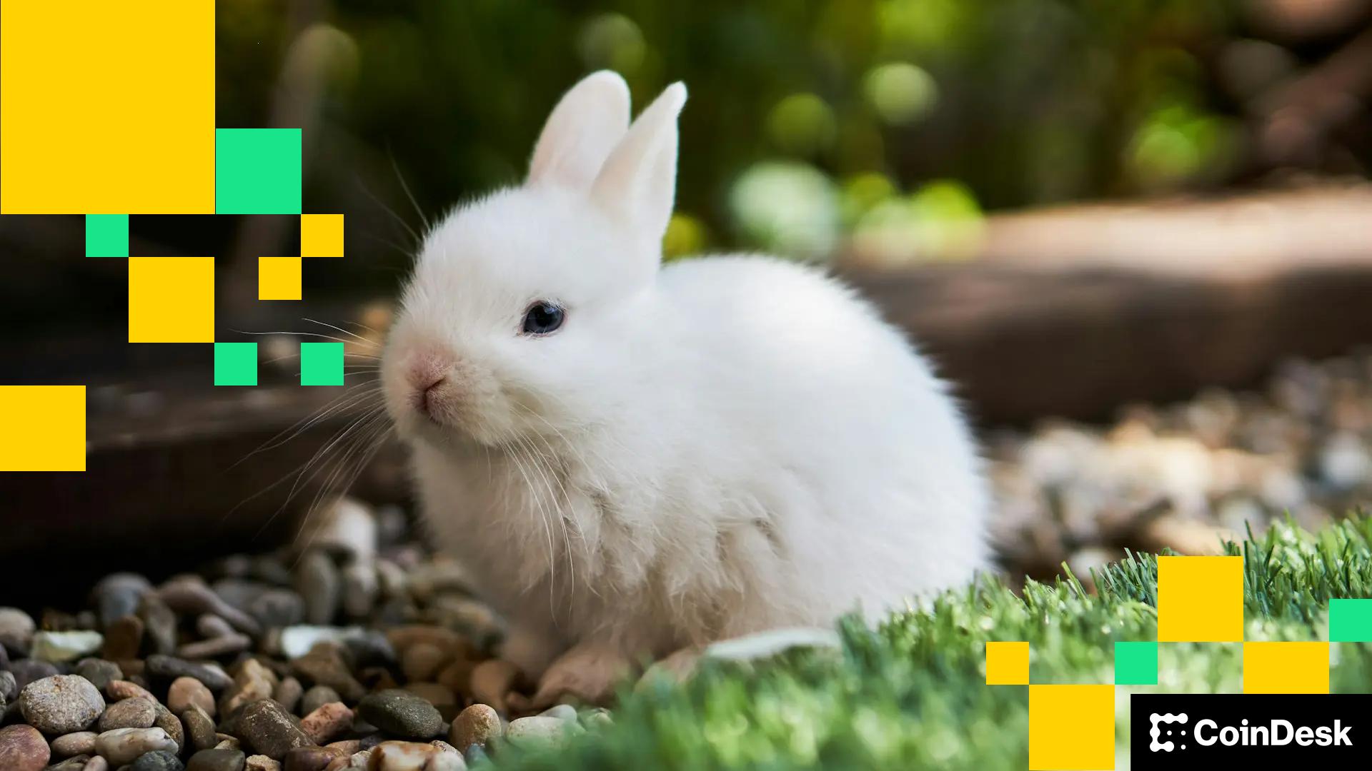 Bunni DEX Shuts Down, Cites Recovery Costs After $8.4M Exploit