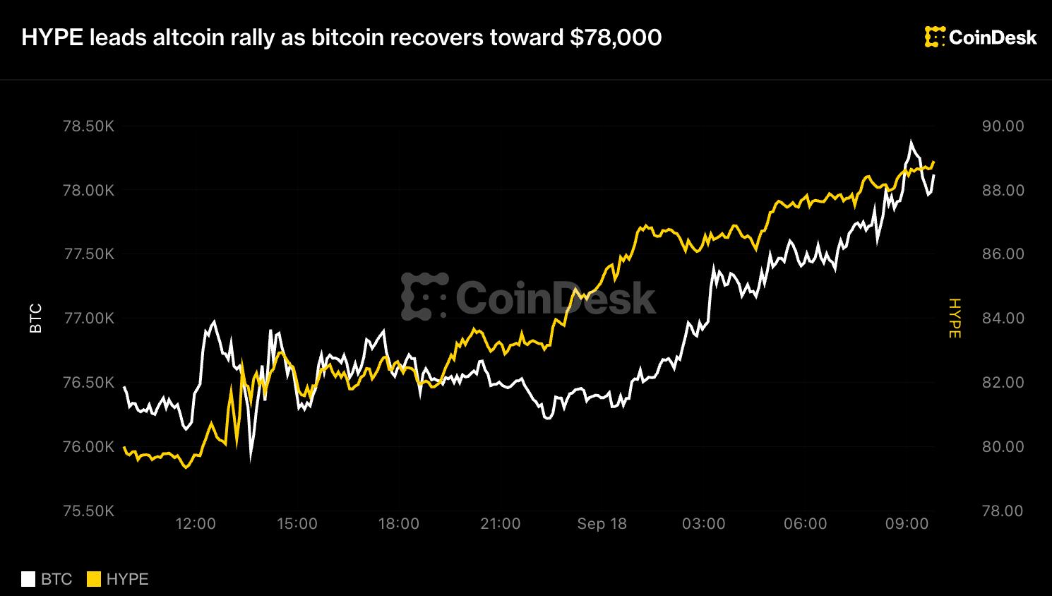 How Altcoin Rallies Work and What They Mean for Small Investors