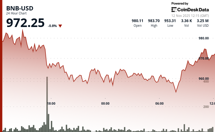 BNB Recovers Above $970 After Brief Drop as Market Volatility Pressures Token