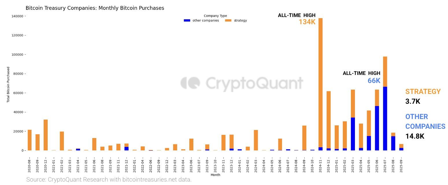 Monthly purchases of bitcoin by BTC Treasury companies. (CryptoQuant)
