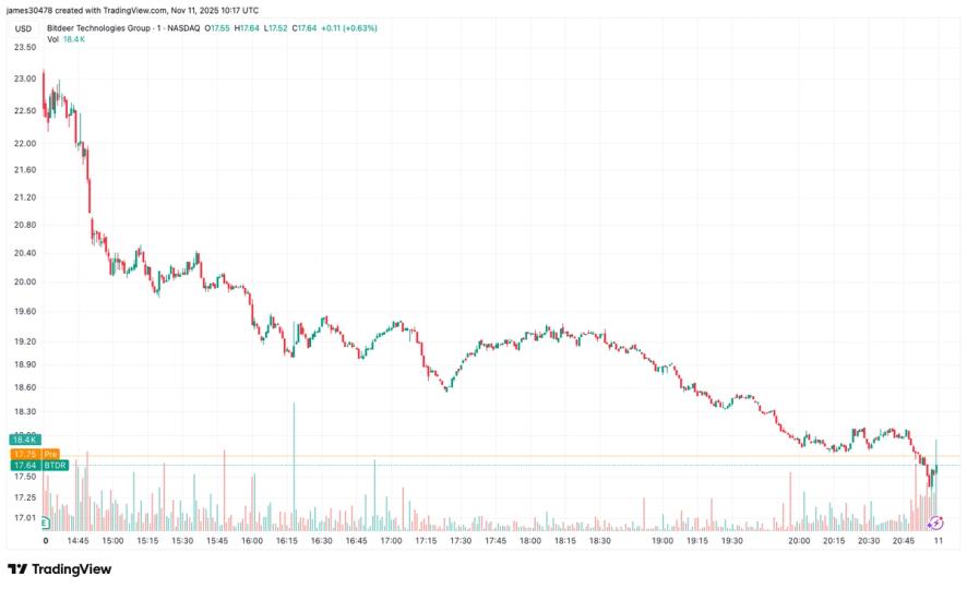 Bitdeer Fell 20% on Wider-Than-Estimated Net Loss, ASIC Chip Delay