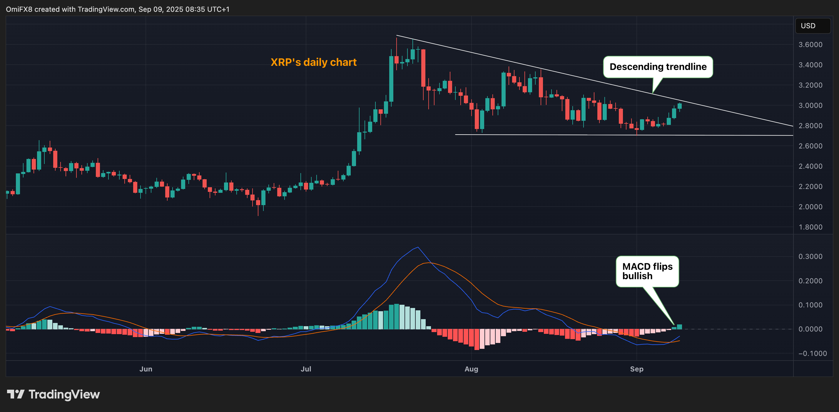 XRP's daily chart with descending trendline and MACD. (TradingView/CoinDesk)