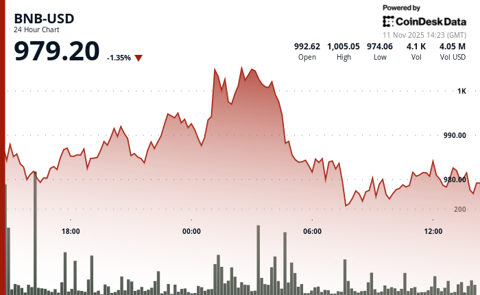 BNB Slips Below $1,000 as Selling Pressure Pushes Token Into Bearish Territory