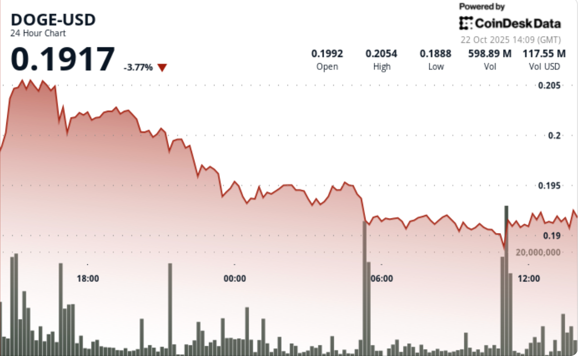 Noticias del Precio de Dogecoin (DOGE): Prueba los $0.19 mientras el Canal  Descendente Señala un Ruptura