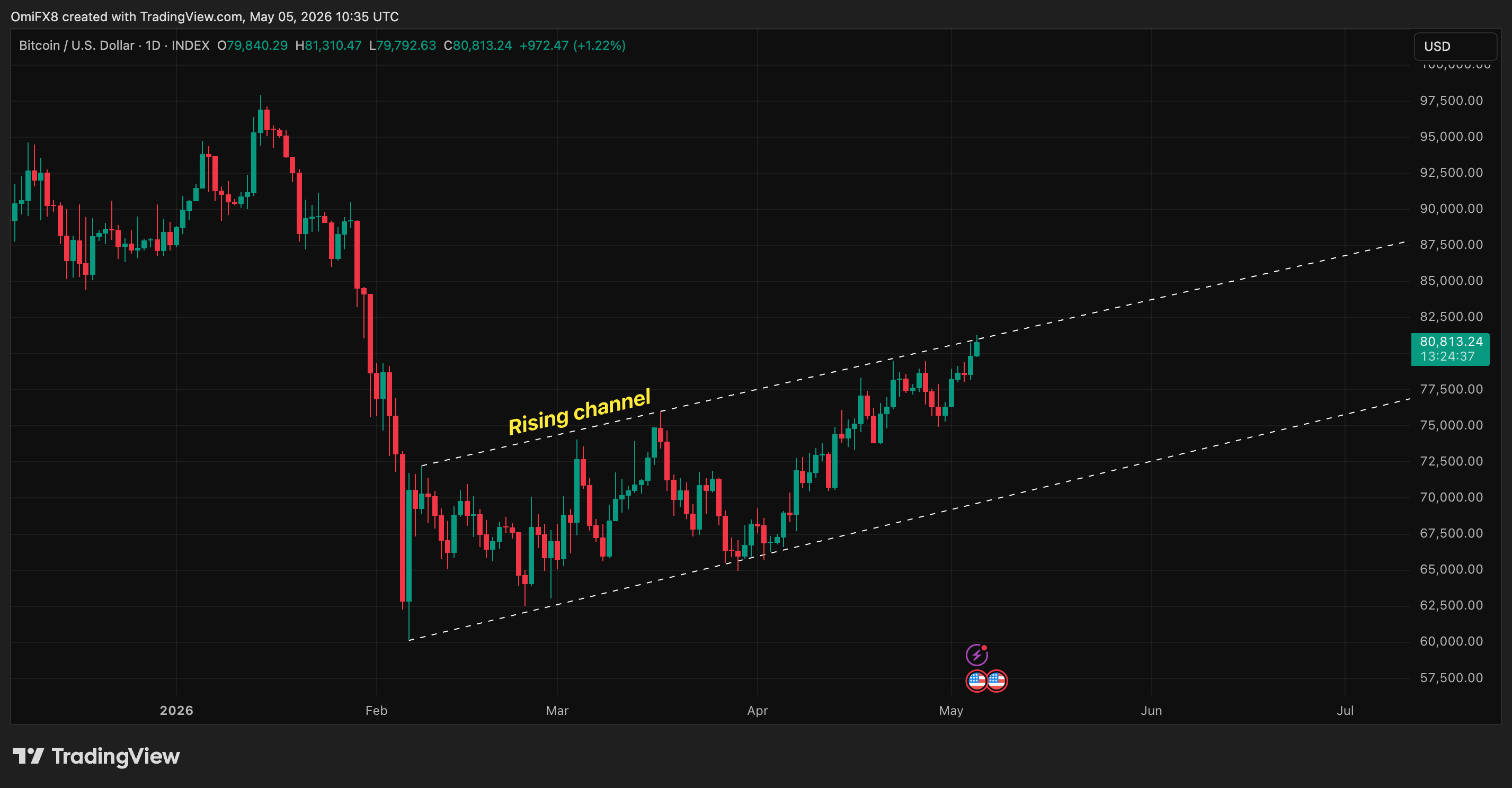 Bitcoin's daily price swings in candlestick format. (TradingView)