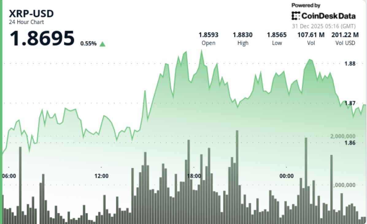 XRP 가격 예측: 2026년 리플이 300% 상승해 8달러에 도달할 것이라는 강세 전망이 확산되고 있다