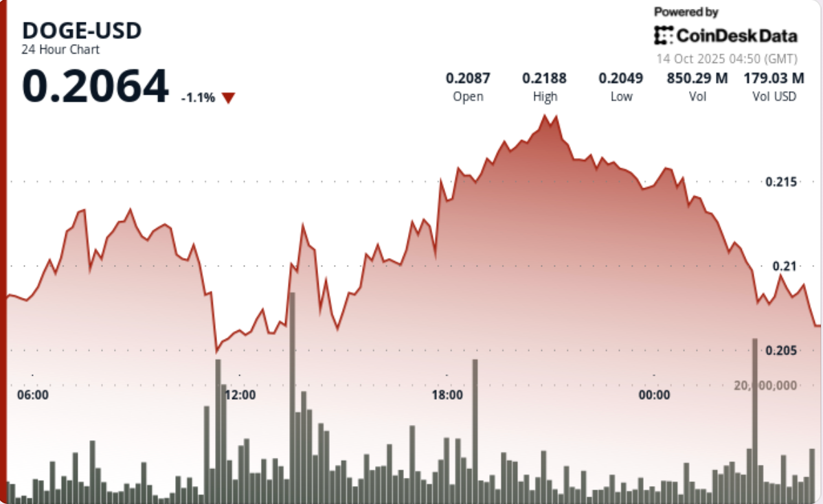 DOGE Price News: Faces Rejection as Dogecoin Treasury Firm Eyes Public  Listing