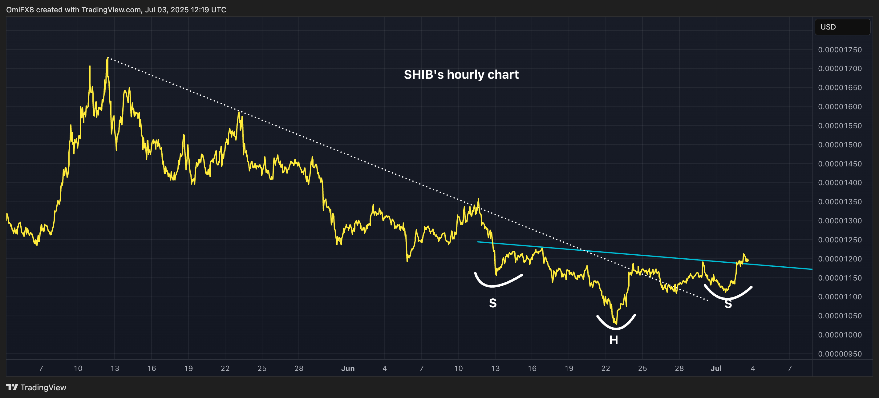 SHIB's hourly price chart. (TradingView/CoinDesk)