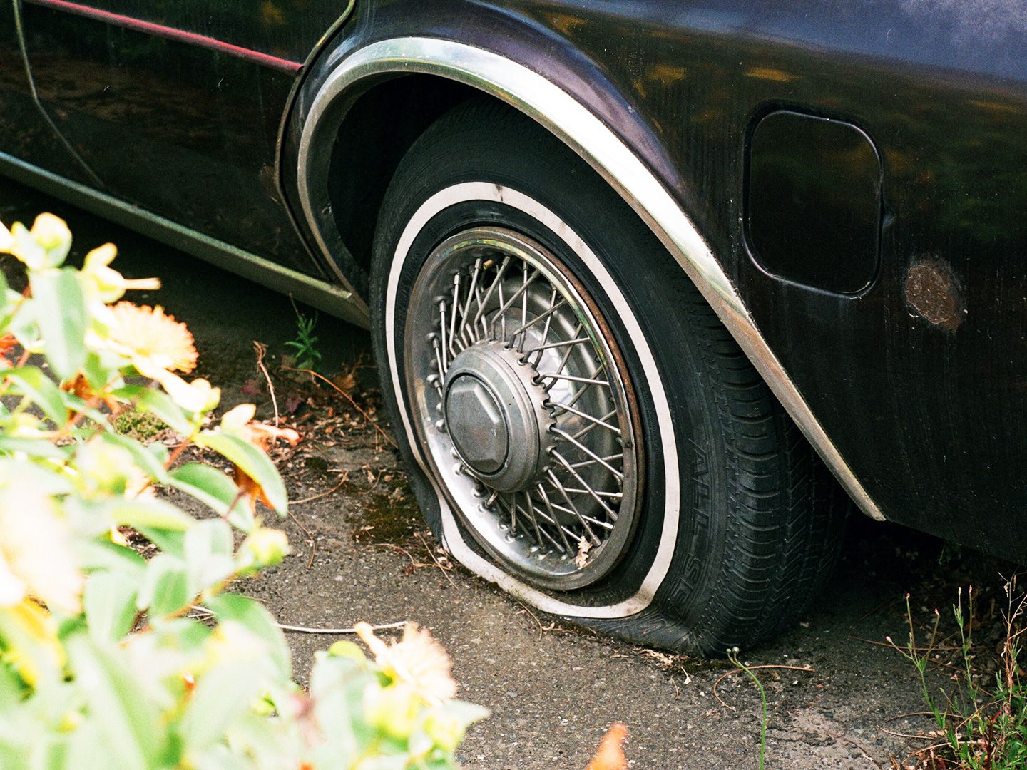 암호화폐 시장 오늘: 연준 금리 인하후 비트코인은 횡보, 알트코인 하락 심화