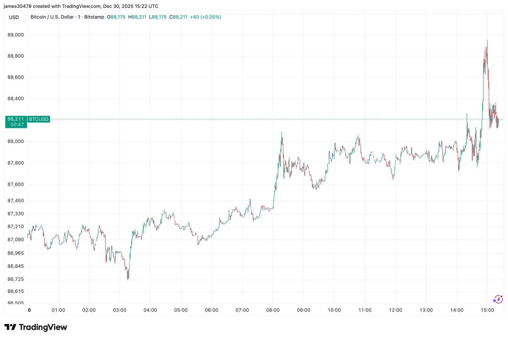 Bitcoin rises above $89,000, showing rare gain in U.S. trading