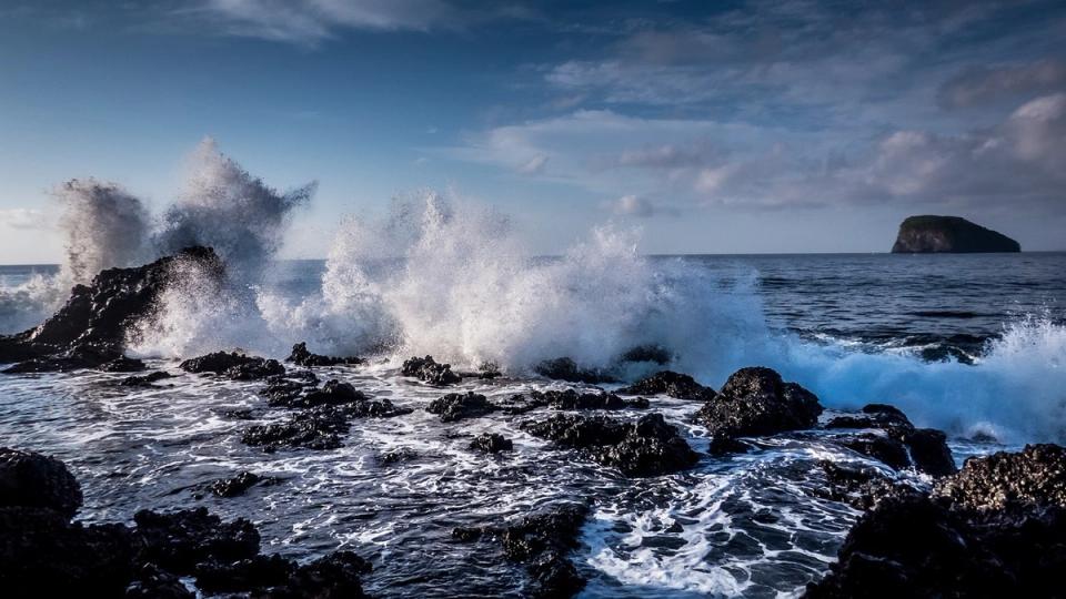 Ethereum-Based Swell Imports Wrapped Bitcoin to Serve as Liquid ...