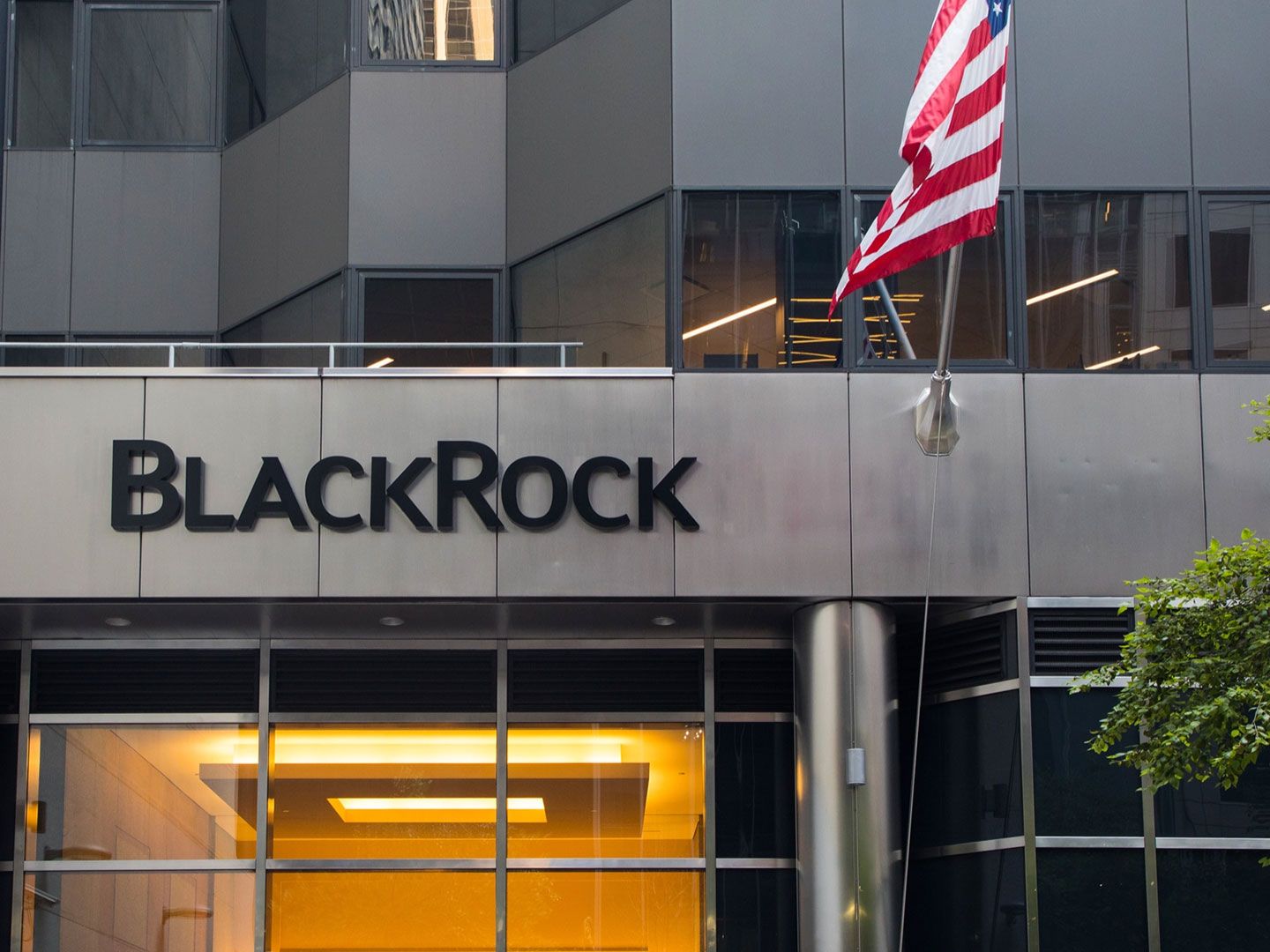 Where BlackRock Goes, Liquidity Flows