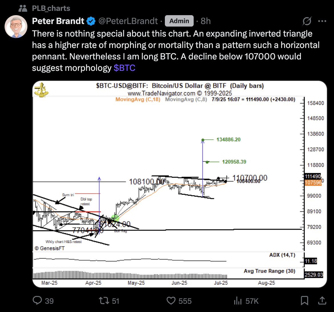Peter Brandt's post on X. Peter Brandt's post on X.