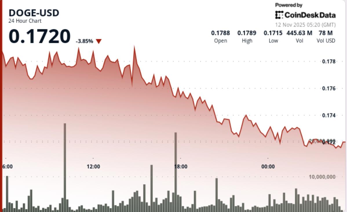 DOGE Price News: Dogecoin Near Make-or-Break Zone After Fresh Bitcoin Slide
