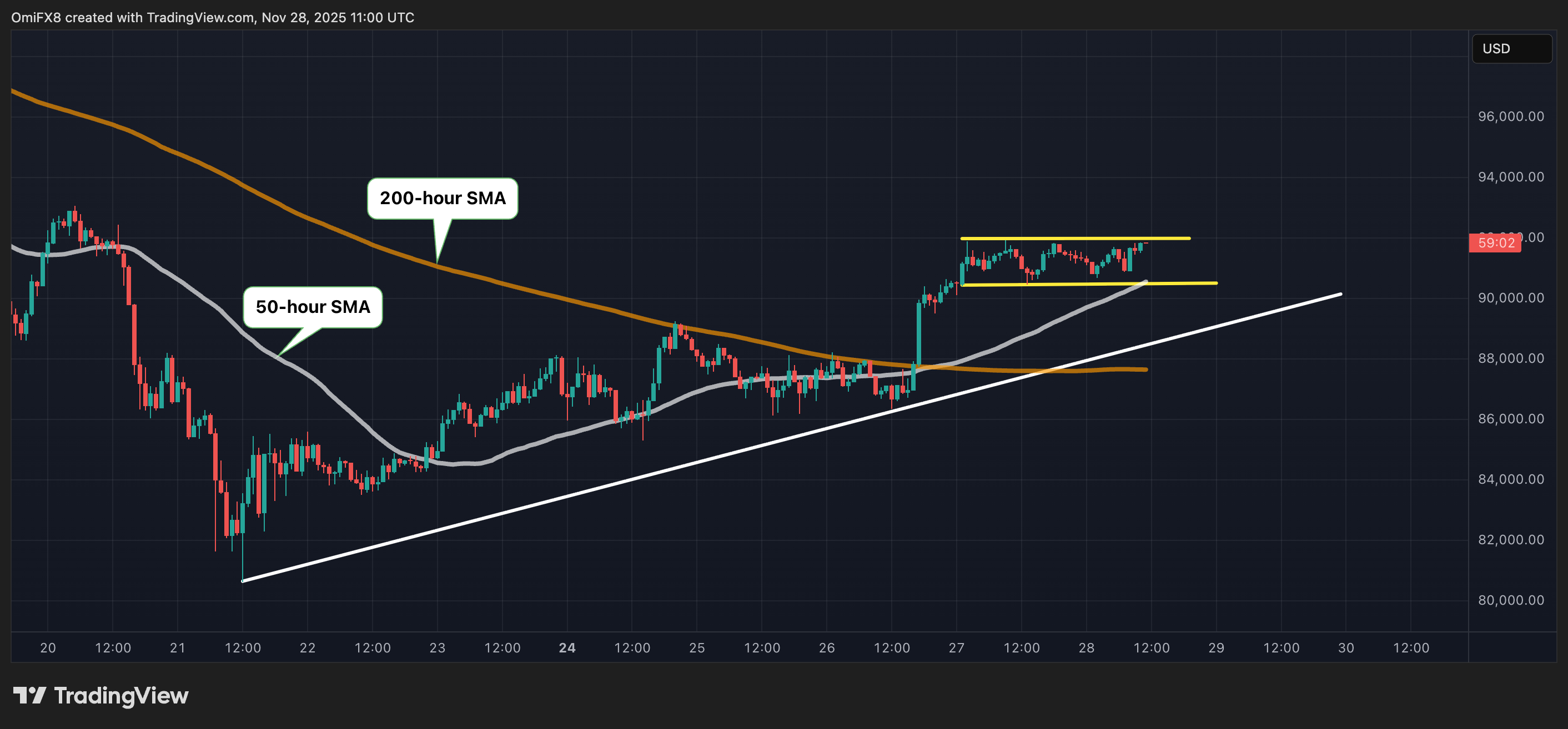 관심 저조: 크립토 데이북 아메리카