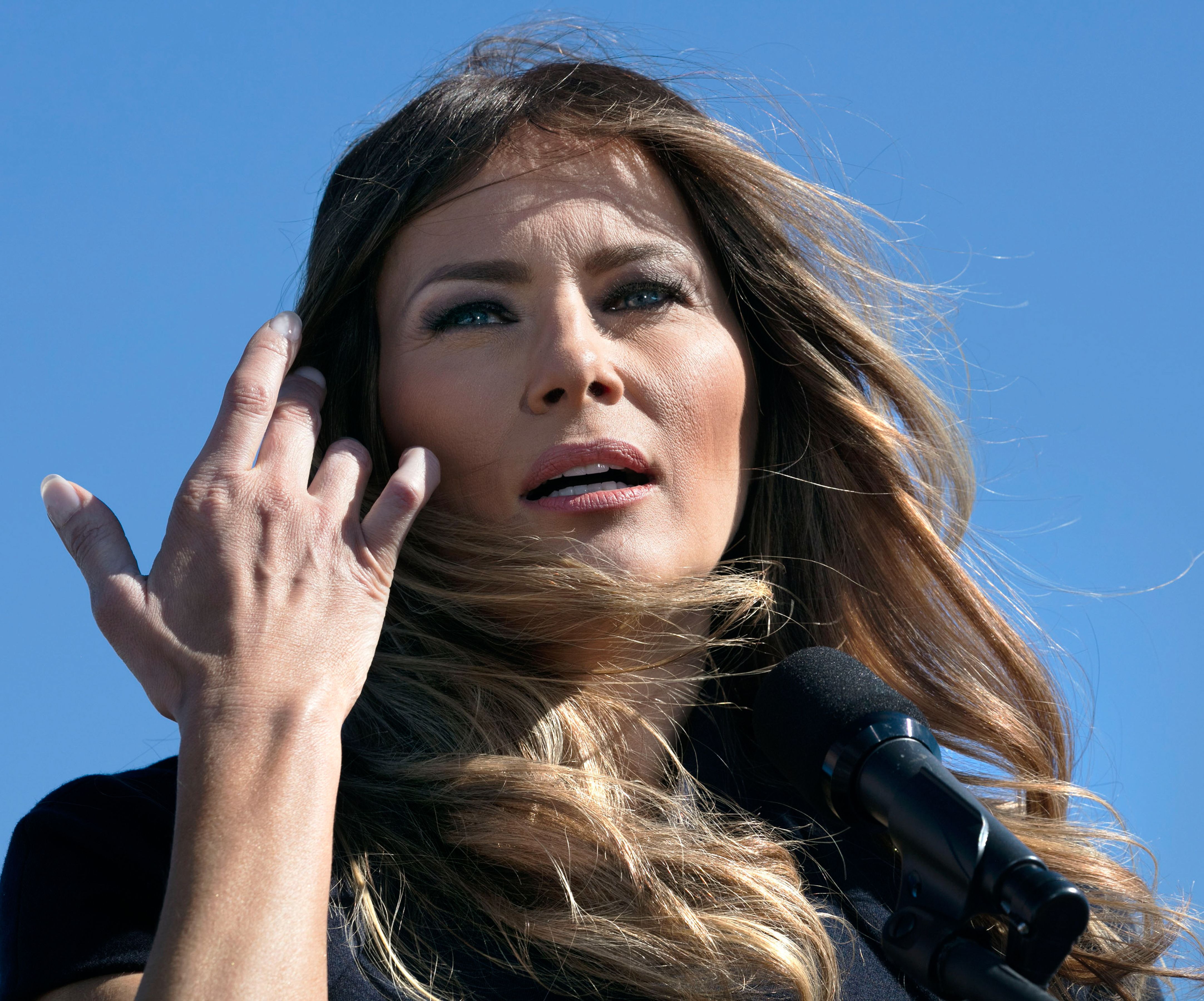 Token Donald Trump dan Melania Mencetak Kekayaan Untuk Validator Solana