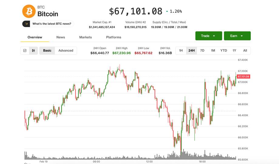 Bitcoin steadies near $67,000 as traders pay for crash protection