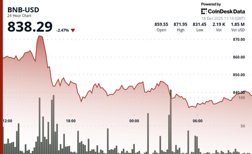 BNB holds onto fourth-largest crypto spot even as price falls, selling pressure builds