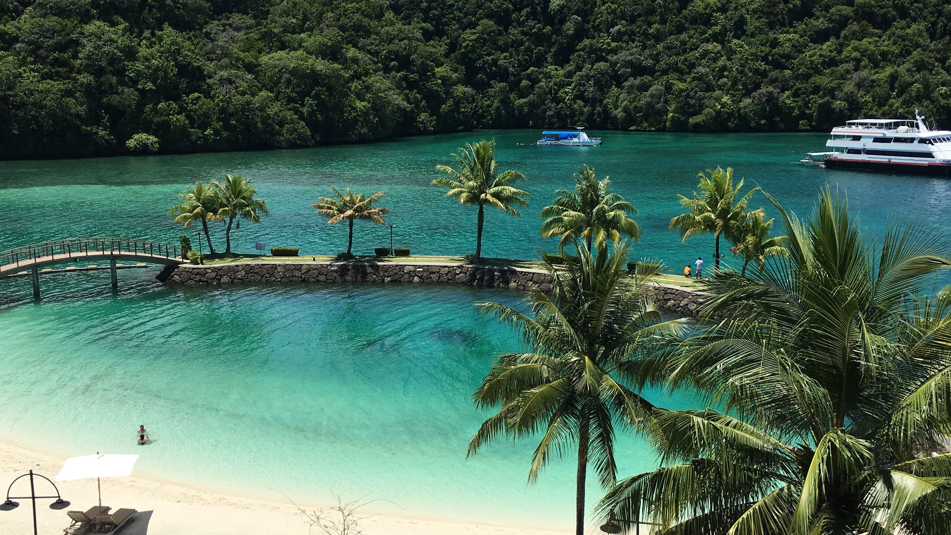 Pacific Island Group of Palau Starts Stablecoin Trial on XRP Ledger 