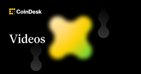 Editor's Picks