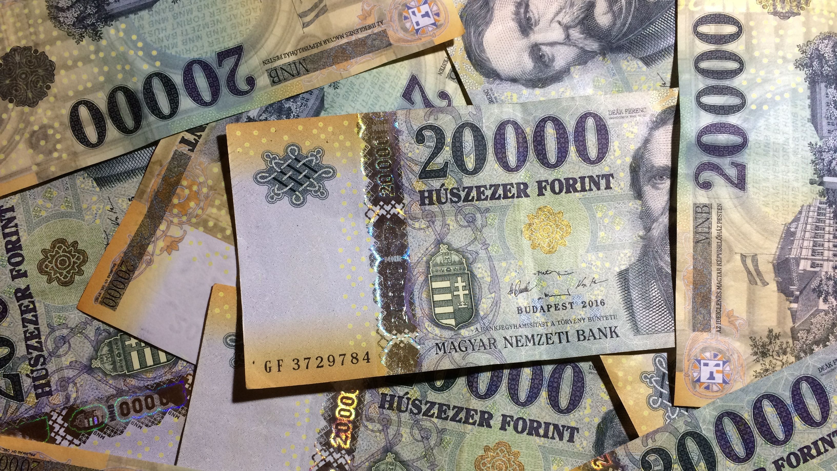 Hungarian Central Bank Sees No Imminent Need for e-Forint