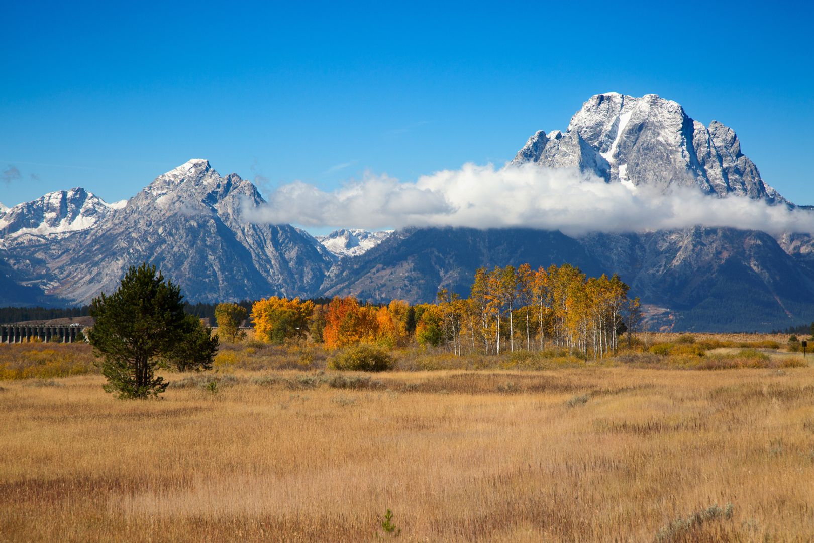Wyoming Taps Inca Digital to Secure First State-Issued Stablecoin Ahead of July Launch Wyoming Taps Inca Digital to Secure First State-Issued Stablecoin Ahead of July Launch