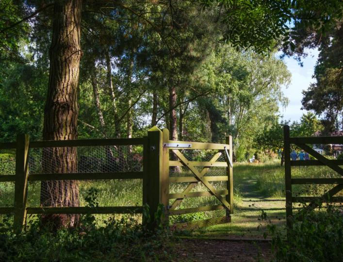 代币化证券需要竞争而非守门人:加密金融的未来路径