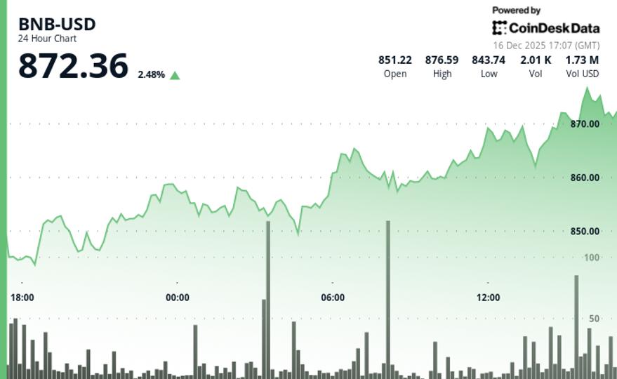 BNB tops $870, outperforming crypto majors as volume surges