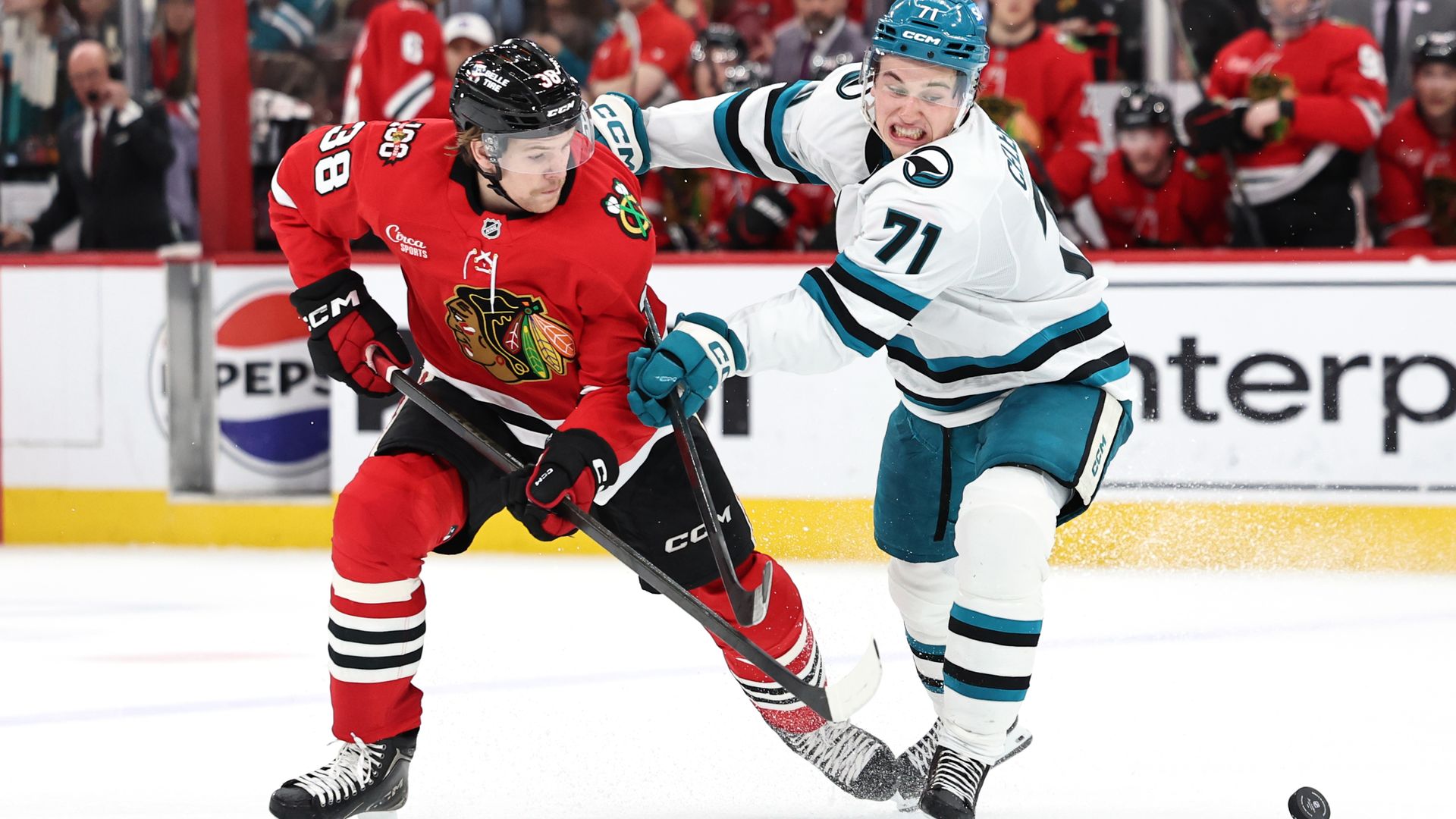 CFTC-NHL 建立夥伴關係:加速體育預測市場納入監管體系