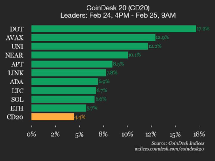 Polkadot dispara 17% e lidera rali generalizado no CoinDesk 20