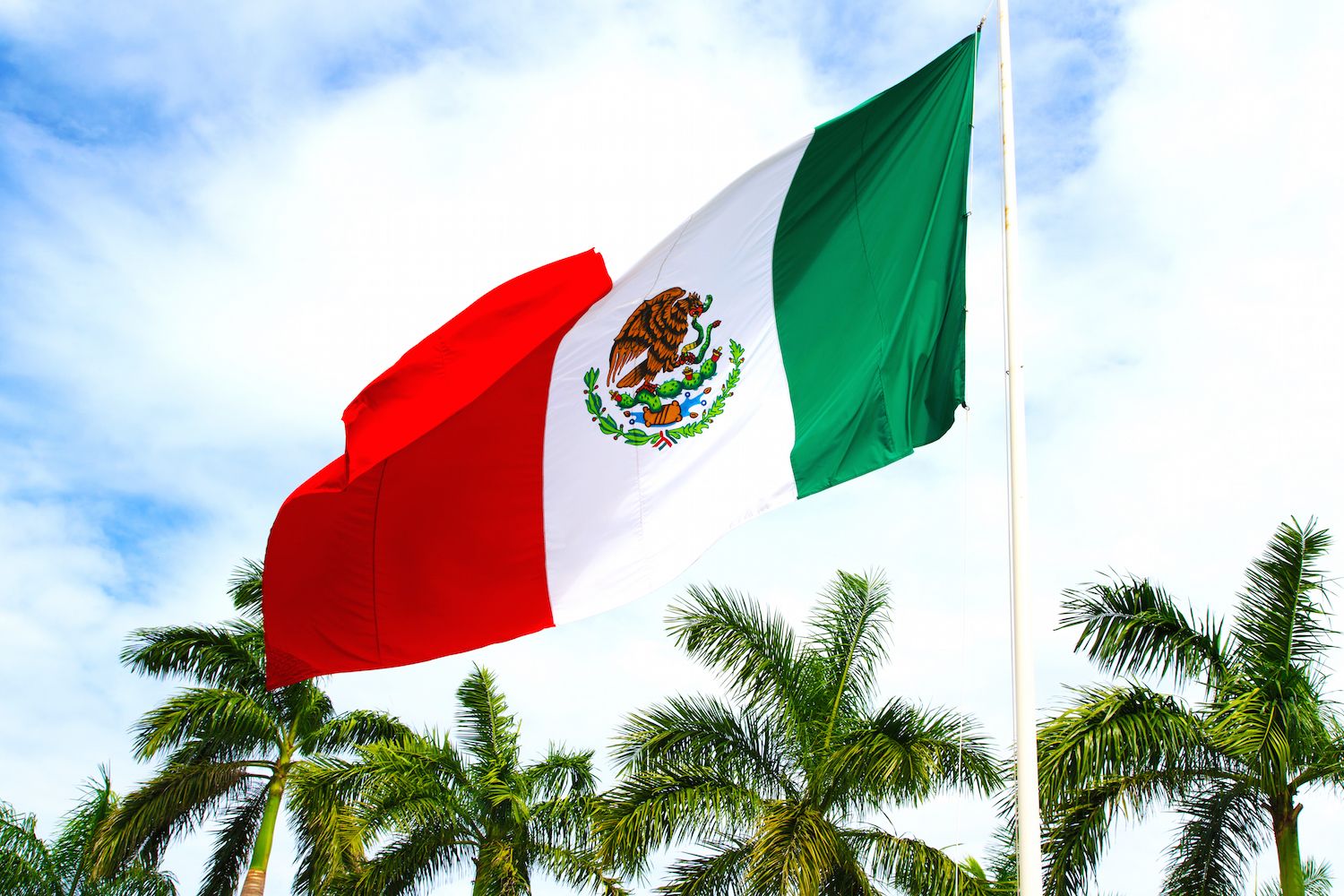 Mexico Plans to Issue a CBDC by 2024, Government Confirms