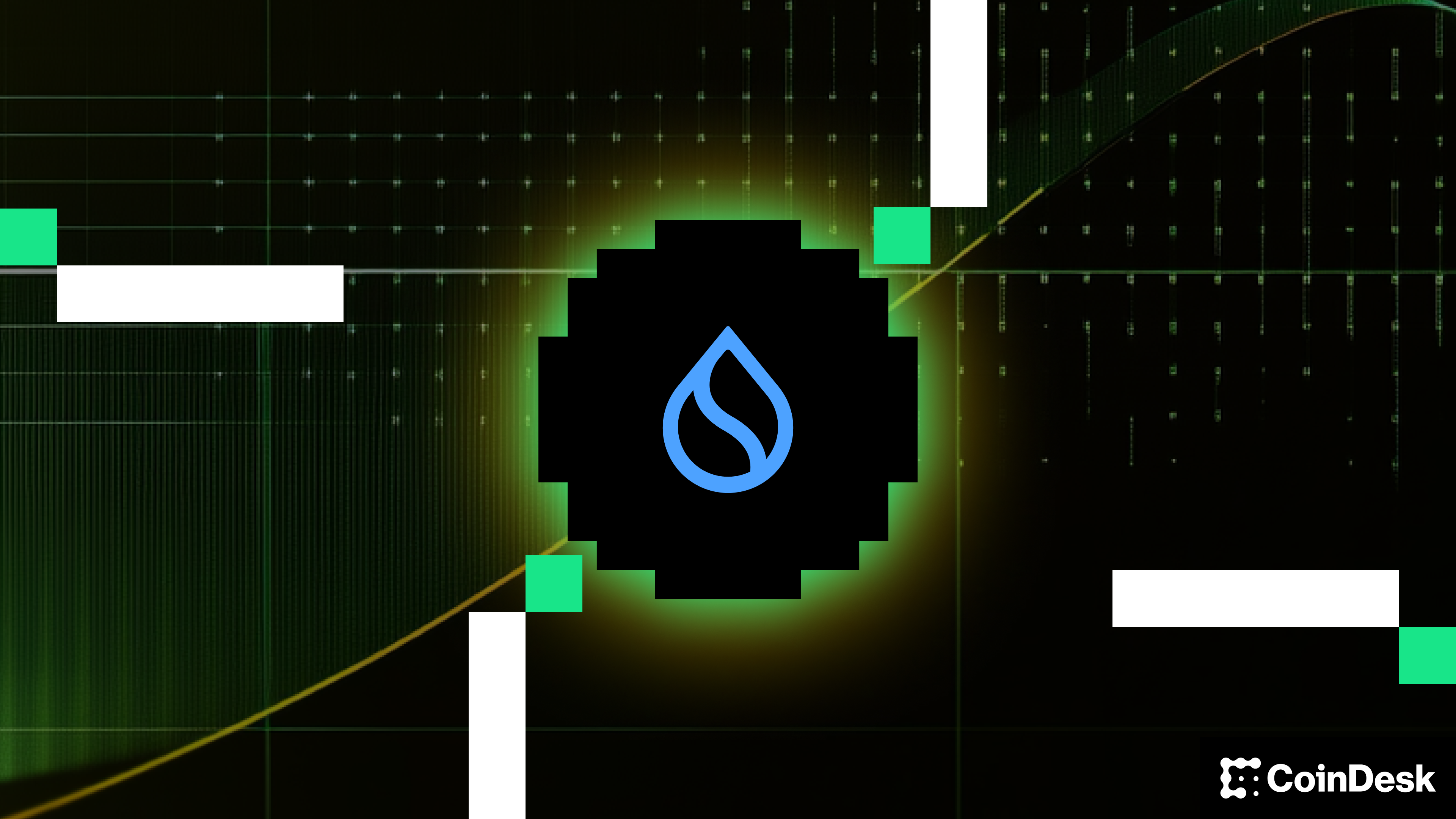 Sui Group charts new course for crypto treasuries with stablecoins and DeFi