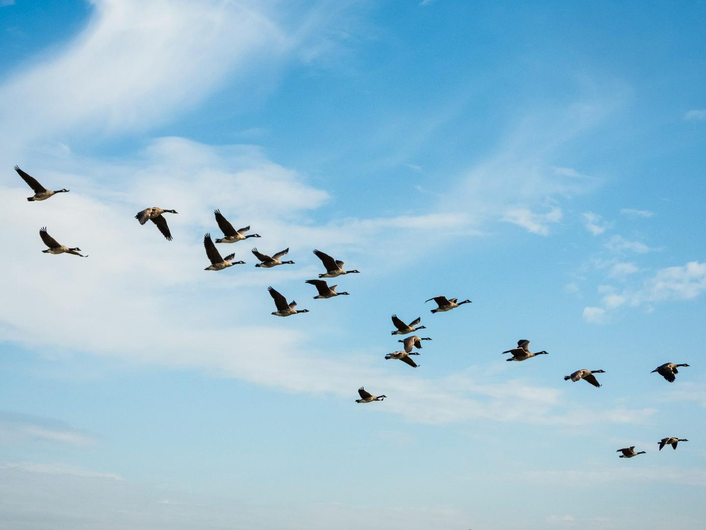 The $700 million migration: Why Solv Protocol is ditching LayerZero for Chainlink