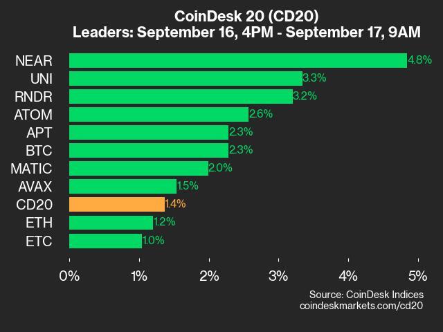 CoinDesk 20 Performance Update: NEAR Gains 4.8% as Index Rallies