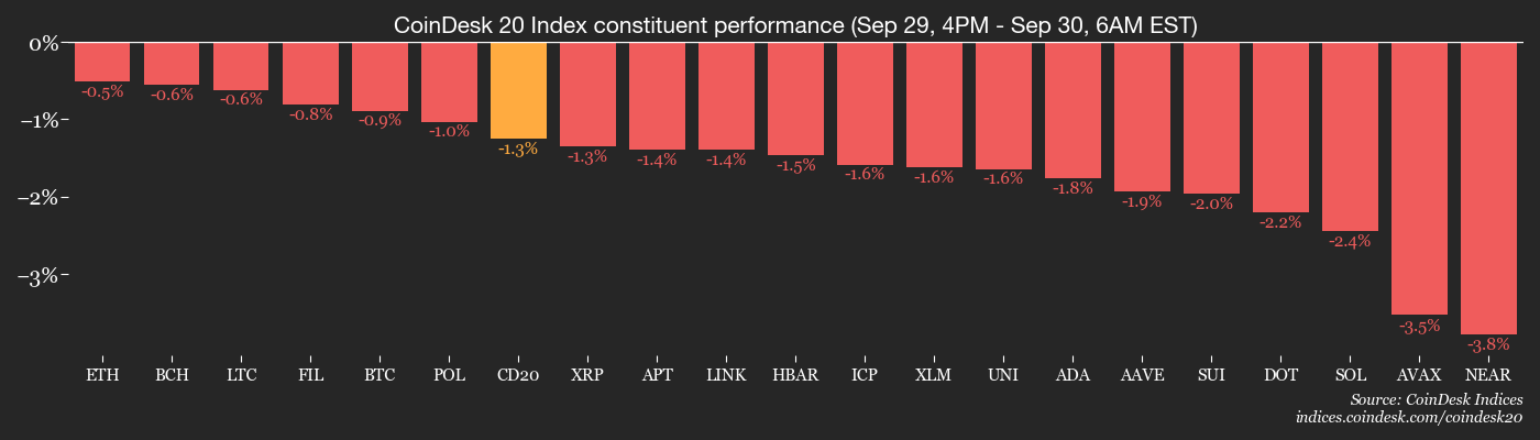 CoinDesk 20 members’ performance
