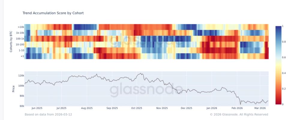 Venda em Massa de Bitcoin: Preço Segura em $70k, Mas Pressão Vendedora Aumenta em Todas as Carteiras