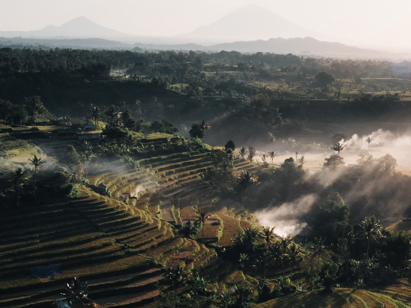 Algorand Foundation - Blockchain for Real-World Impact with Matthew Keller