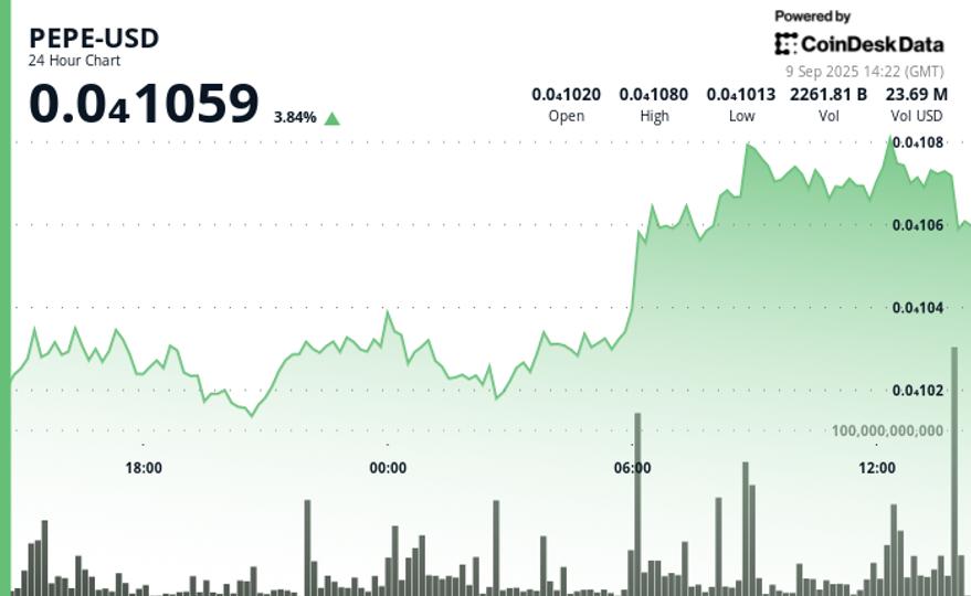 Le prix de PEPE gagne 10 % en une semaine, dépassant Bitcoin et d ...
