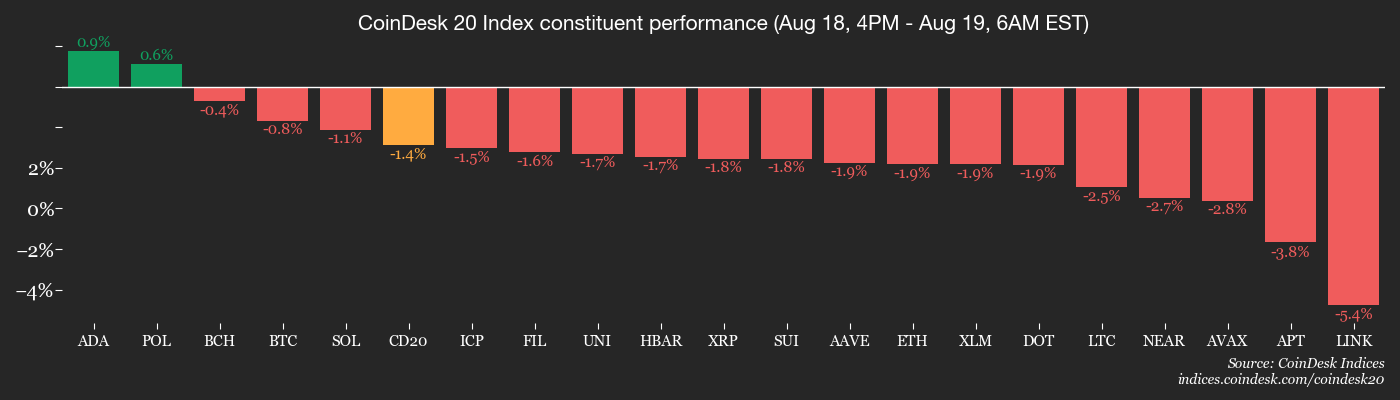 CD20, Aug. 19 2025 (CoinDesk)