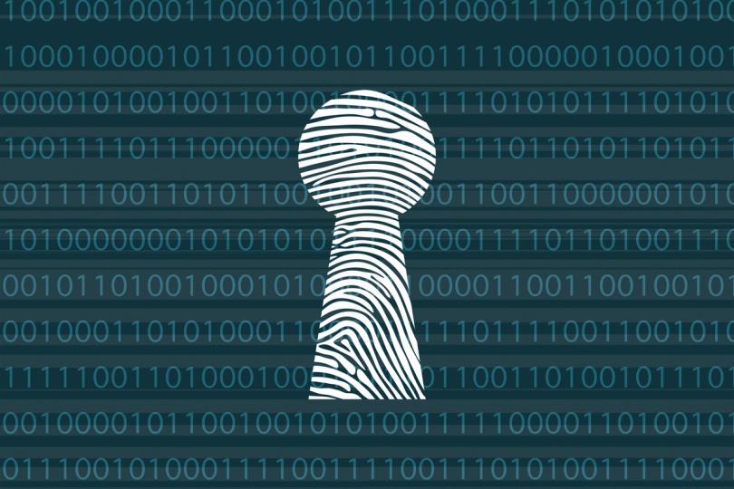 A Questão Não É Se Haverá Privacidade, Mas Que Tipo de Privacidade a Indústria Vai Construir