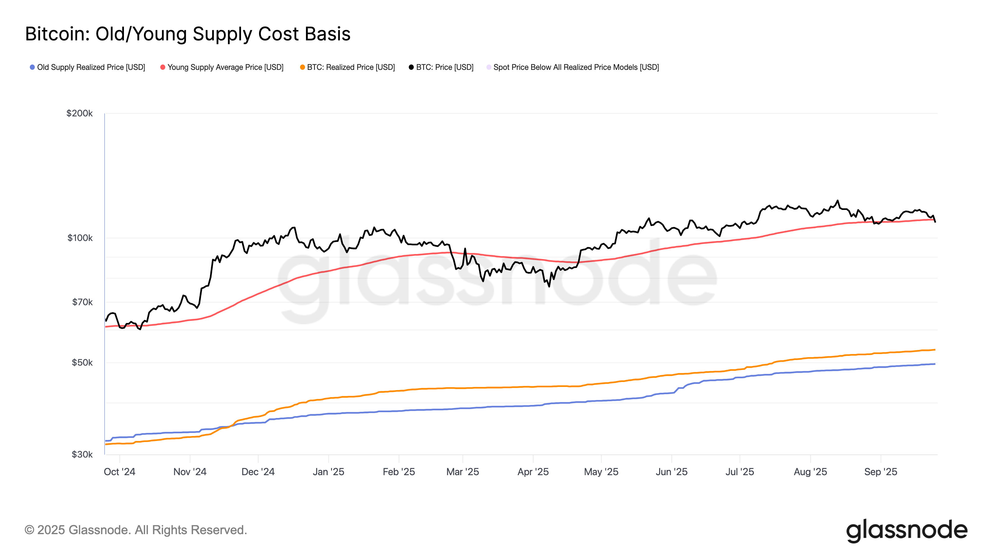 Cost Basis (Glassnode)