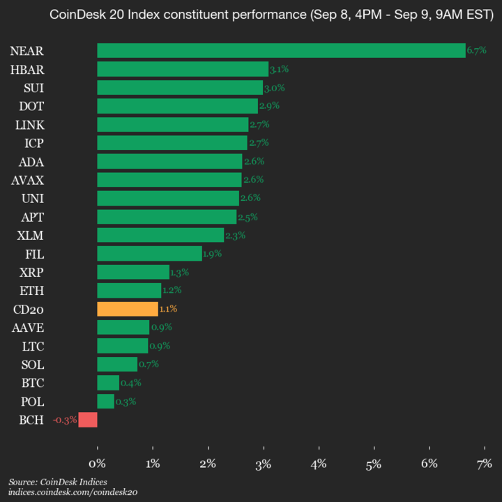 9am CoinDesk 20 Update for 2025-09-09: vertical chart 9am CoinDesk 20 Update for 2025-09-09: vertical