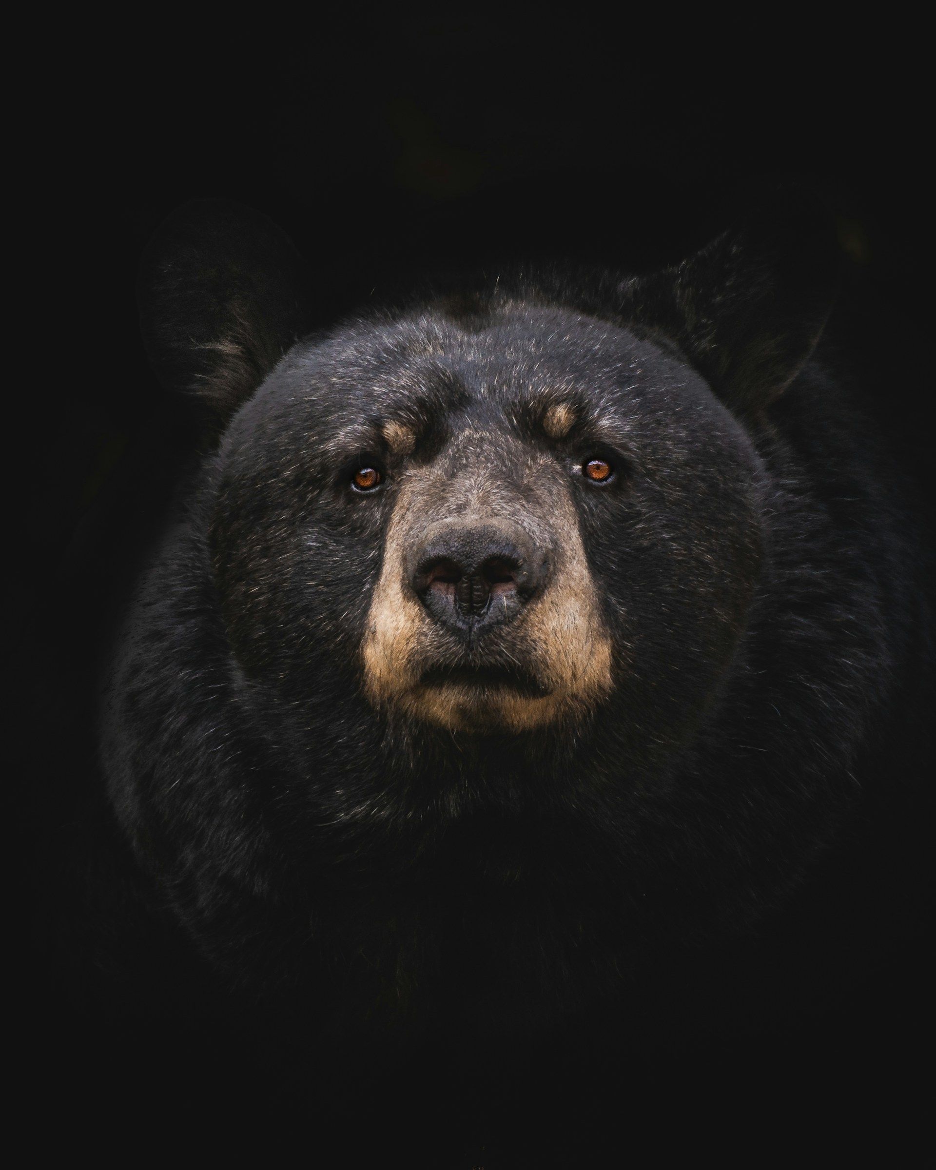 Asia Morning Briefing: Traders Tilt Bearish on August BTC, ETH Targets as Retail Lags Institutions