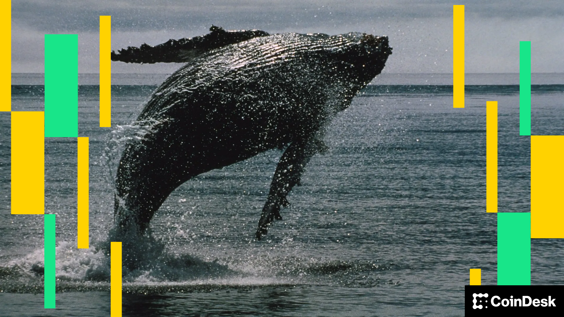 Ether Whale Books $45M Loss as ETH Falls Below $4K Ether Whale Books $45M Loss as ETH Falls Below $4K