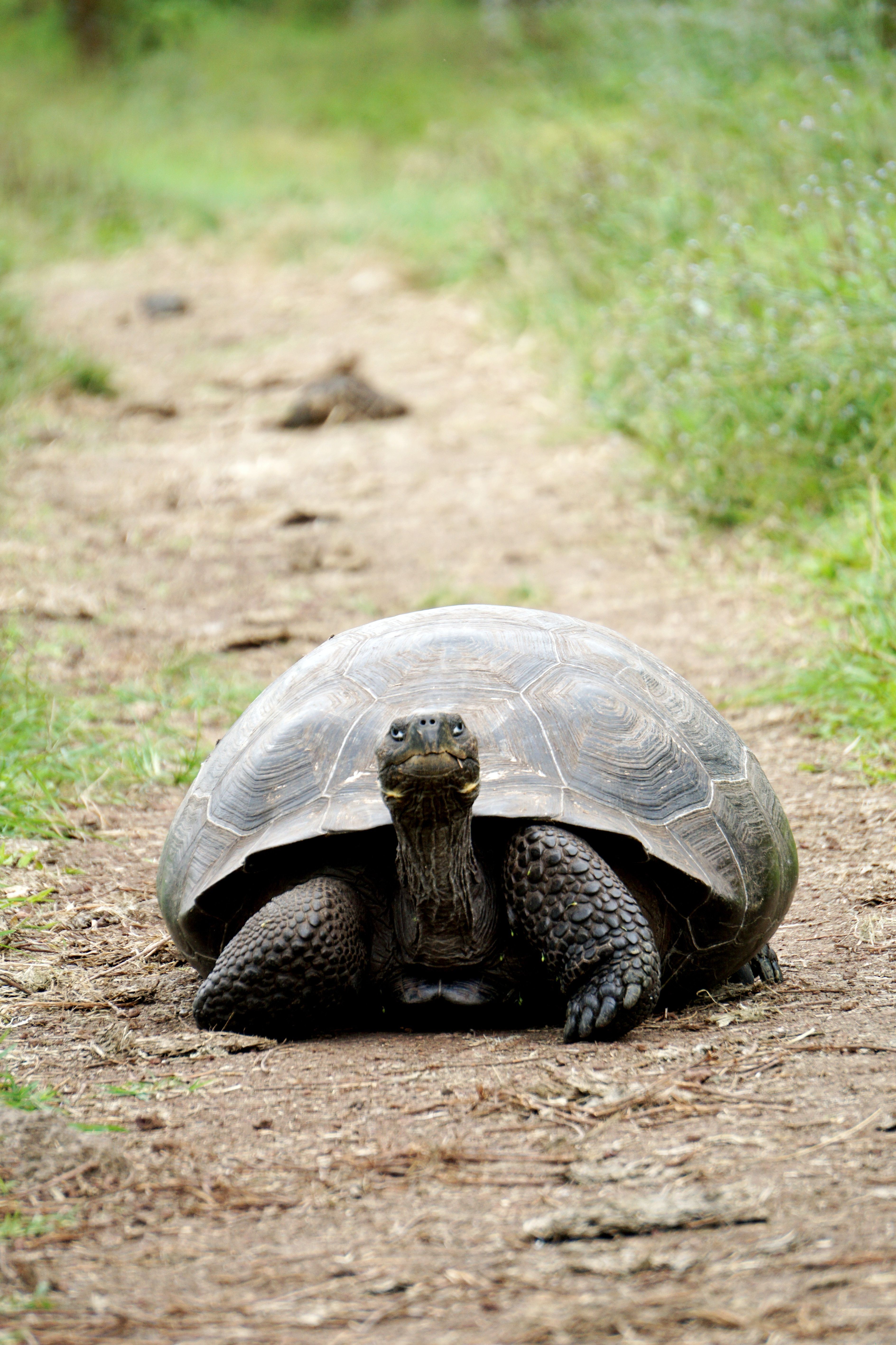 Bitcoin’s Shrugs Off Positive Economic Data as Slow-Moving July Continues