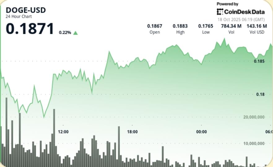 DOGE Finds Support After Tariff-Led Selloff, Market Awaits Next Catalyst