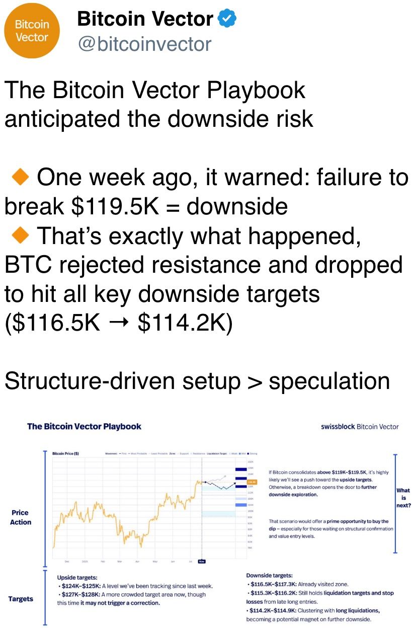 The Bitcoin Vector Playbook anticipated the downside risk The Bitcoin Vector Playbook anticipated the downside risk