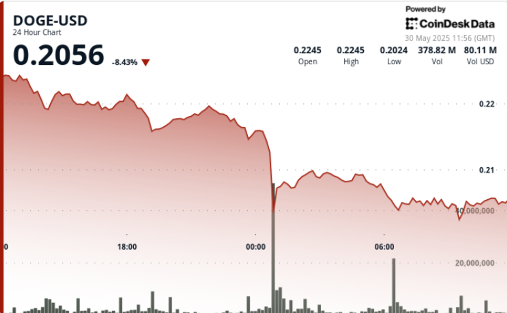 Dogecoin Plunges 10% in Midnight Crash, Struggles to Find Footing