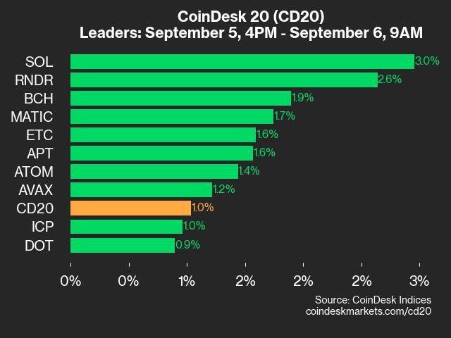 CoinDesk 20 Performance Update: SOL Jumps 3.0% as Index Rallies 