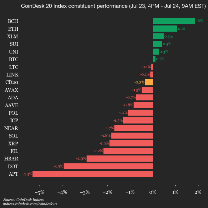 9am CoinDesk 20 Update for 2025-07-24: vertical
